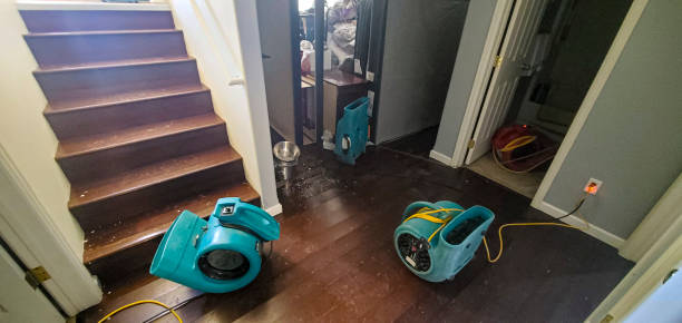 Best Flood restoration services  in Columbia, SC